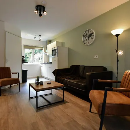 Modern Holiday In With Private Terrace Hulshorst